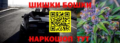гашик Жуковский