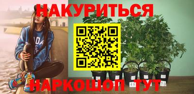 гашик Жуковский