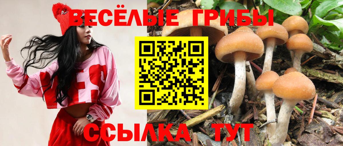 Псилоцибиновые грибы прущие грибы Майский